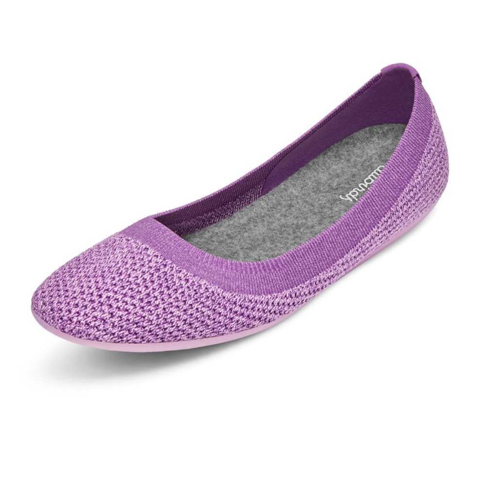 allbirds Women’s Tree Breezers Size 7 in Lux Purple